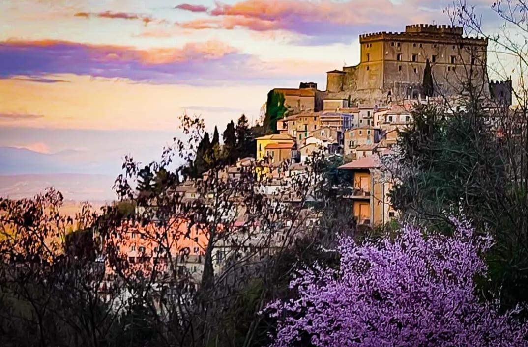 Casa Divitia Apartment Soriano nel Cimino Luaran gambar